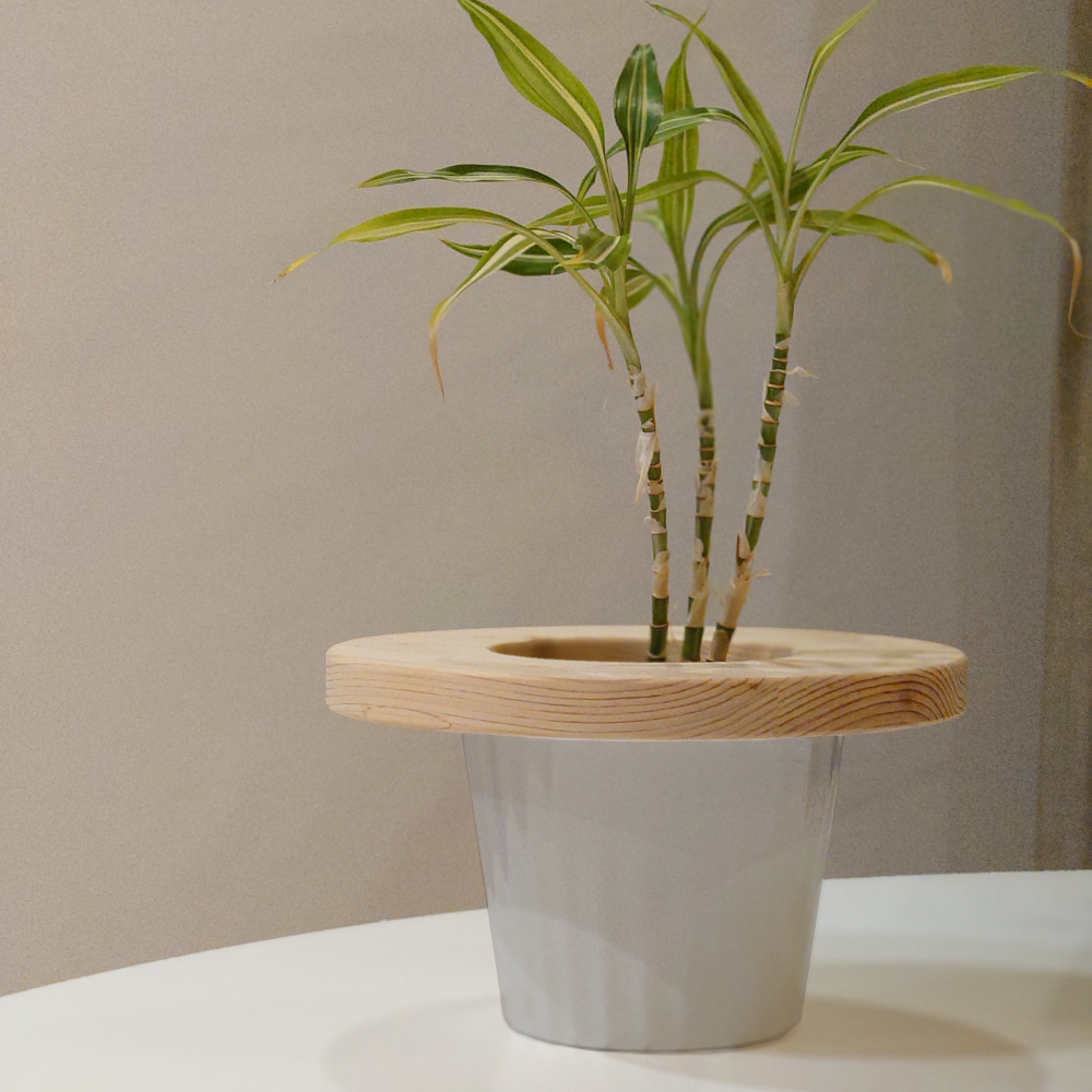 プランツテーブル スモール(20cm)