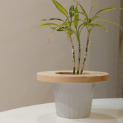 プランツテーブル スモール（20cm）